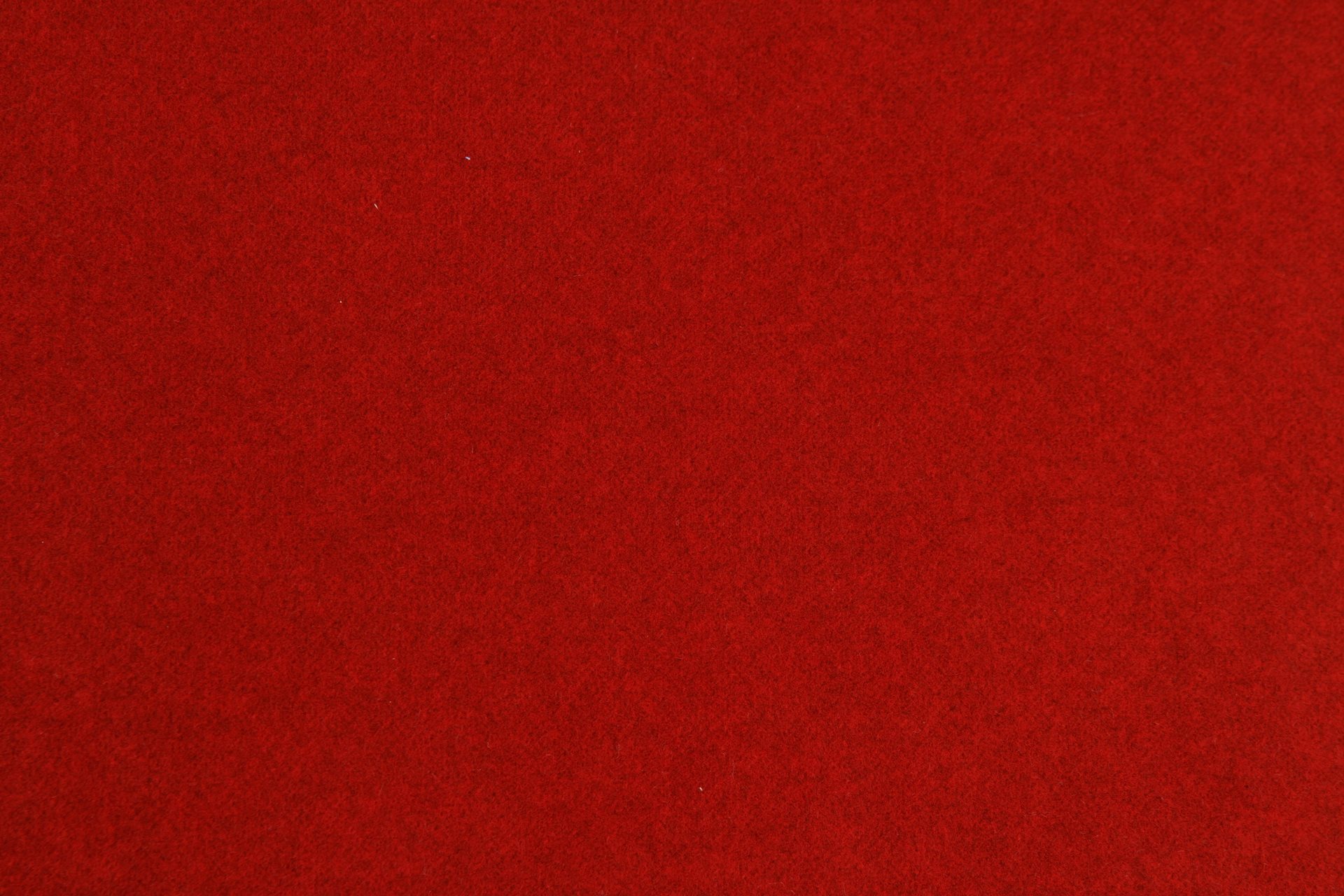 LN010