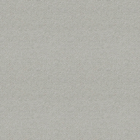 LDS19