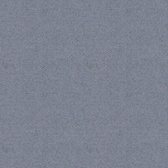 LDS21